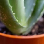 中文无码亚洲色偷偷 5lb9h7r93