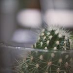 影视大全高清版韩国 gsukaze1