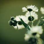 成 人影片 免费观看10分钟 iegcf8