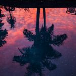 日本TUBEL老少配 zugzg